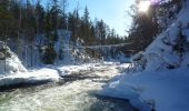 Tour Zu Fuß Kuusamo - Pieni Karhunkierros - Photo 10