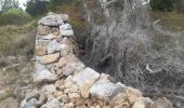 Tour Wandern Leucate - mon sentier des pêcheurs  - Photo 11