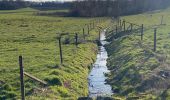 Trail Walking Gerpinnes - Sortie fin d’hiver  - Photo 2