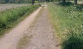 Tour Wandern Theix-Noyalo - PR_56_Theix-Noyalo_CA_03_Moustoir-Lorho-Gorvello_Circuit1b_20250523 - Photo 9