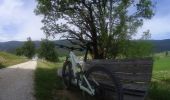 Trail Mountain bike Autrans-Méaudre en Vercors - activity_9138581037 - Photo 9