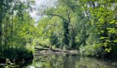 Tocht Stappen Landen - La vallée du ruisseau Mombeek : la réserve naturelle De Beemden à Attenhoven - Photo 9