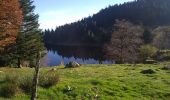 Tour Wandern Urbeis - Lac Forlet  - Photo 5