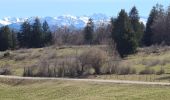 Trail Walking Collonges-sous-Salève - SALEVE - Photo 11