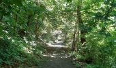 Randonnée Marche Liège - rando la plus bucolique sur les coteaux rive gauche de la meuse - Photo 17