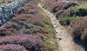 Percorso Marcia Crozon - CAP de la chèvre avec le hameau de Kerroux  - Photo 4