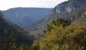 Tour Wandern Châteaudouble - Rebouillon - Chapelle St Jean - Châteaudouble - Photo 4