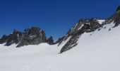 Tocht Stappen Chamonix-Mont-Blanc - reguge de Trient par le col du tour - Photo 14