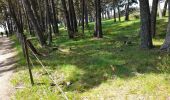 Trail Walking Lajo - live Lajo - Aumont Aubrac - Photo 3