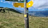 Trail Walking Prats-de-Mollo-la-Preste - Le Chalet  -La Forge  -Col Pregon -Col de Siern  - Le  Chalet . - Photo 5