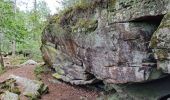 Tocht Stappen Fontainebleau - Bourron-Marlotte sentier Denecourt 11 - Photo 20