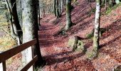 Trail Walking La Bresse - Tour du lac de Lispach - Photo 5