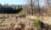 Randonnée A pied Libramont-Chevigny - Non balisée promenade de la Fagne des Anomalies - Photo 2