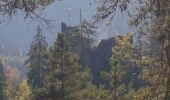 Trail Walking Schramberg - Schramberg - Châteaux de Falkenstein et de Hohenschramberg - Photo 17