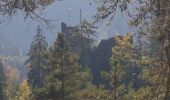 Percorso Marcia Schramberg - Schramberg - Châteaux de Falkenstein et de Hohenschramberg - Photo 17