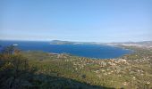 Excursión Senderismo Carqueiranne - Trois forts vers les Oursinieres  - Photo 1