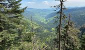 Randonnée Marche Stosswihr - Sentier des roches - Photo 4