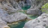 Excursión Senderismo Navacelles - Cal  les aiguieres petites et grandes - Photo 11