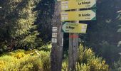 Trail Walking Saint-Martial - Tour des sucs :Sepoux-Seponet-Lauziére-Taupernas - Photo 5