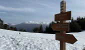 Tour Schneeschuhwandern Ilonse - Lauvet d’Ilonse - Photo 1