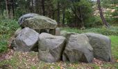 Tour Zu Fuß Kosel - Schleiroute an der Großen Breite - Photo 6