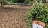 Percorso Marcia Gesves - Gesves - sentier d'arts - Photo 8