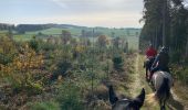 Tour Reiten Neufchâteau - Quadrillage du bois d’Ospau - Photo 1