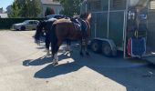 Trail Horseback riding Anhée - salet dinant (katrien) - Photo 1