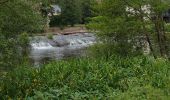 Tour Wandern Thouars - rando de la cascade de pommiers  - Photo 12