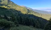 Trail Walking Les Adrets - LA CIME DE LA JASSE PAR LE GROS CAILLOU ET RETOUR PAR LE REFUGE D'AIGUEBELLE - Photo 14
