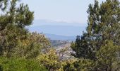 Percorso Mountainbike Allauch - les antennes du garlaban - Photo 4