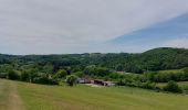 Tocht Stappen Dison - 4821 Andrimont (Verviers) 15Km marche adeps du 15/05/2022 - Photo 6