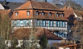 Percorso A piedi Michelau in Oberfranken - Rundwanderweg Main-Auen - Photo 8