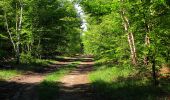 Randonnée Marche Trosly-Breuil - en forêt de Compiègne_28_les Tournantes sur le Mont Saint-Mard et sur le Mont Collet - Photo 7