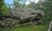 Tour Wandern Oncy-sur-École - Oncy-sur-École - Grotte aux Fées  - Photo 8