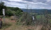 Tour Elektrofahrrad Villeneuve - Villeneuve  cajarc - Photo 4