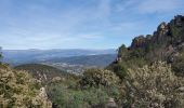 Trail Walking Fréjus - ESTEREL trace Mont Vinaigre - Photo 3