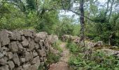 Excursión Senderismo Labeaume - ARDECHE. LA BAUME. GORGES DE LA BAUME. LEBAUME.DOLMENS OE - Photo 16