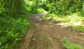 Trail Walking Gedinne - Bourseigne Vieille 150524 - Photo 18
