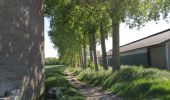 Percorso Marcia Braives - Fumal, via chemin des chevreuils - Photo 6