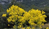 Tour Wandern Le Tholonet - le tour des trois barrages - Photo 9