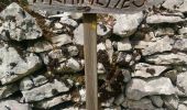 Trail Walking Théminettes - Theminette  - Photo 2