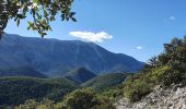 Trail Walking Brantes - Brantes - Savoillan - Photo 1