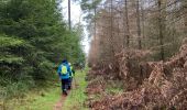 Trail Walking Libin - Libin - Photo 3