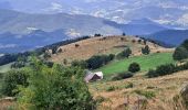 Excursión Senderismo Luttenbach-près-Munster - Petit Ballon - Steinberg en boucle - Photo 4