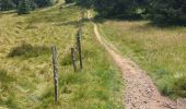 Trail Walking Besse-et-Saint-Anastaise - Tour des lac Bourdouze, Pavin et Montcyneire - Photo 6
