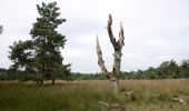 Tour Zu Fuß Arnheim - Deelerwoud - Groen - Photo 3