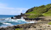 Trail Walking Capesterre-de-Marie-Galante - Guadeloupe - Marie Galante - Les Galeries - Photo 8