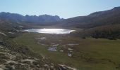 Excursión Senderismo Albertacce - lac nino - Photo 4