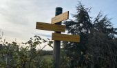 Trail Walking Messimy - De Messimy au belvédère du Piragoy en boucle - Photo 4